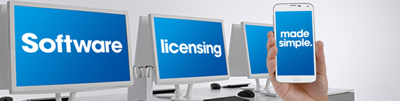 Business Software Licensing