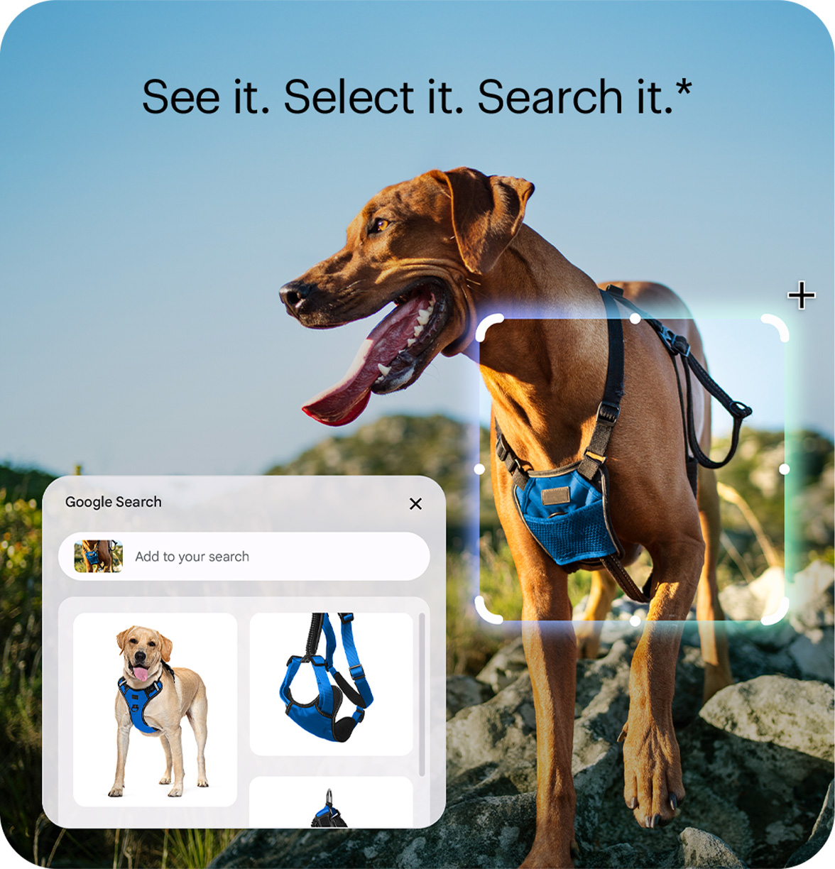 See it. Select it. Search it.