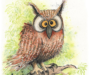 Ink drawing of an owl