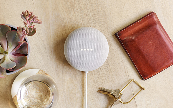 Google Nest Speakers