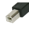 USB B cable