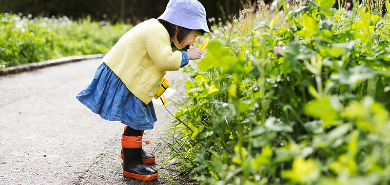 STEM Activities for Preschoolers that Teach Problem Solving